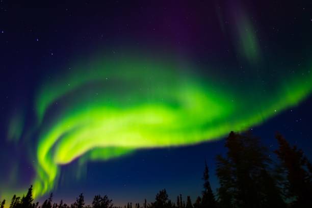 istock Green neon Aurora Borealis in the sky 1442915780