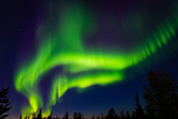istock Green neon Aurora Borealis in the sky 1442915783