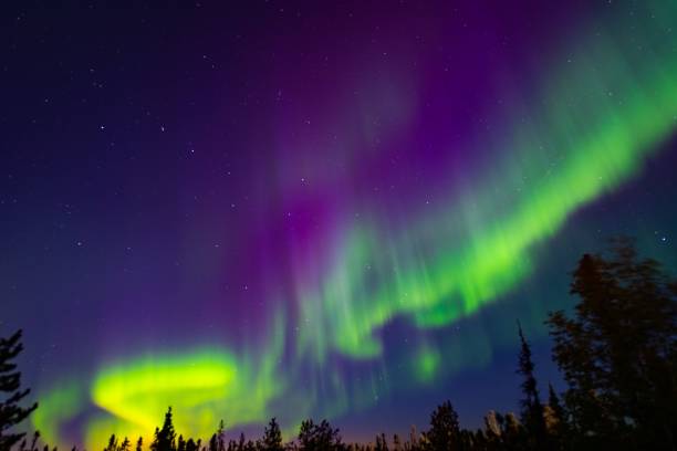 istock Green neon Aurora Borealis in the sky 1442915787