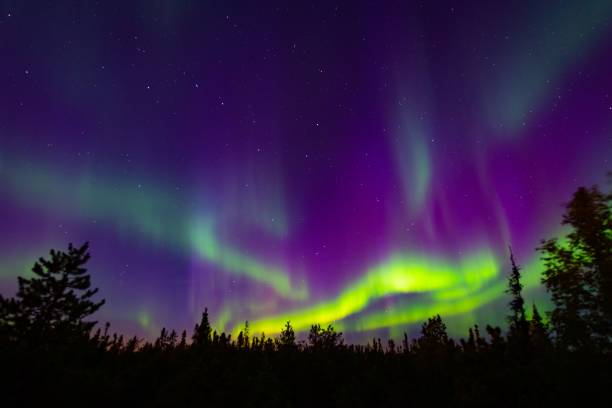 istock Green neon Aurora Borealis in the sky 1442915789