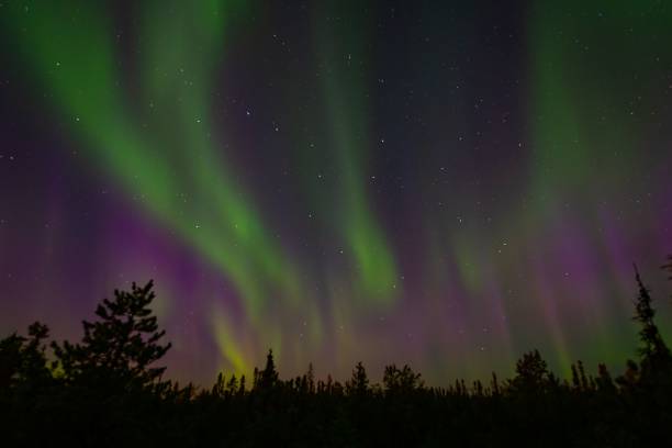 istock Green neon Aurora Borealis in the sky 1442915790