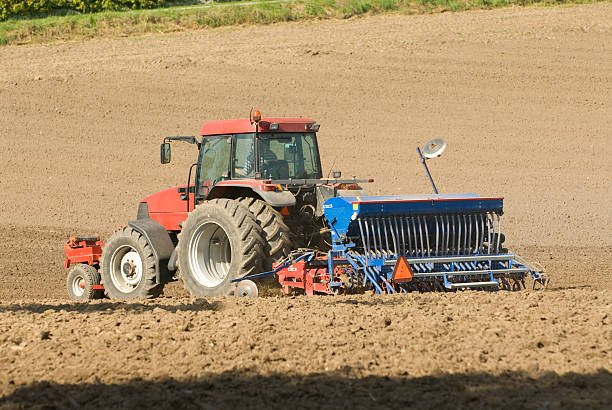 Spring seeding stock photo