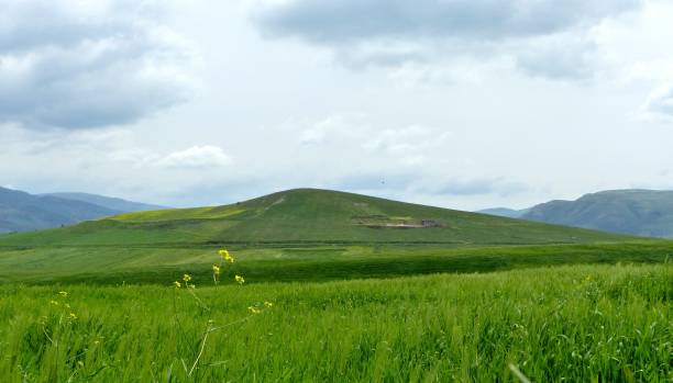 istock Mountains and pastures in a calm natural scenery 1442918863
