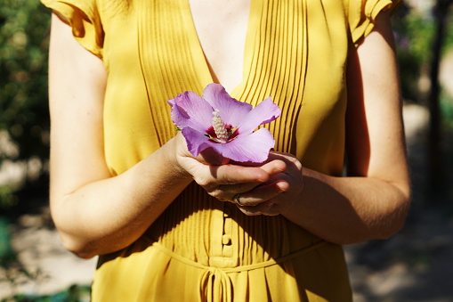 A woman in a yellow dress holding a fresh purple hibiscus flower in a park