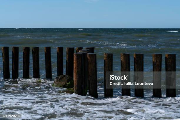 View Of The Baltic Sea And Wooden Breakwaters Of The City Beach On A Sunny Summer Day Svetlogorsk Kaliningrad Region Russia Stock Photo - Download Image Now