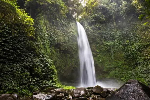 Beautiful waterfall close to Ubud in Bali, Indonesia.