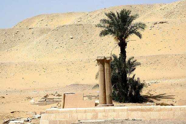 istock Palm tree and pillars in the desert 144292116