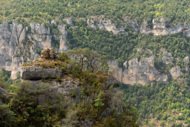istock Gorges du Tarn in Cevennes National Park. 1442922968