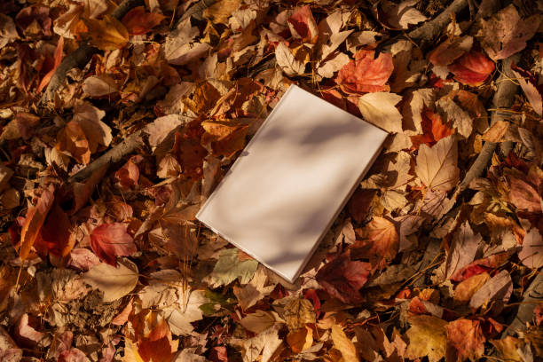 istock White book in nature surrounding fall leaves 1442926048