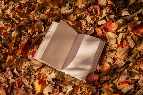 istock White book in nature surrounding fall leaves 1442926051