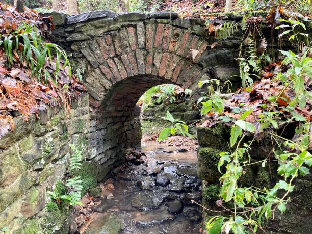 istock Old stone bridge over a woodland path 1442926075