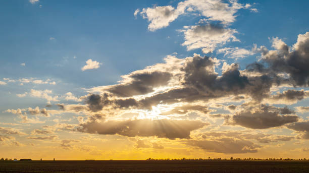istock Sunset over a ripening wheat field 1442926424