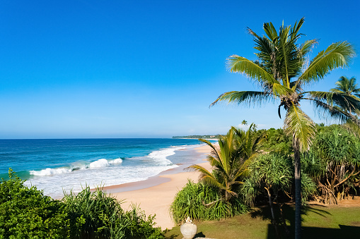 Scenic cliffs at Pipa Beach in Rio Grande do Norte. Brazil Northeast. Vacations landscape. Paradise scenery. Pipa Beach at Rio Grande do Norte. Scenic cliffs on the beach. Brazil Northeast.