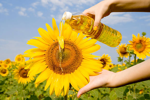 istock sunflower-seed oil 144292994