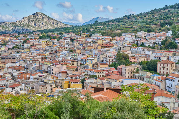 istock Mountain Town in Sardinia 1442930202