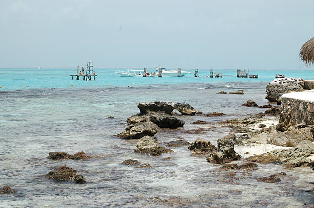 istock reef park on isla mujeres mexico 144293177