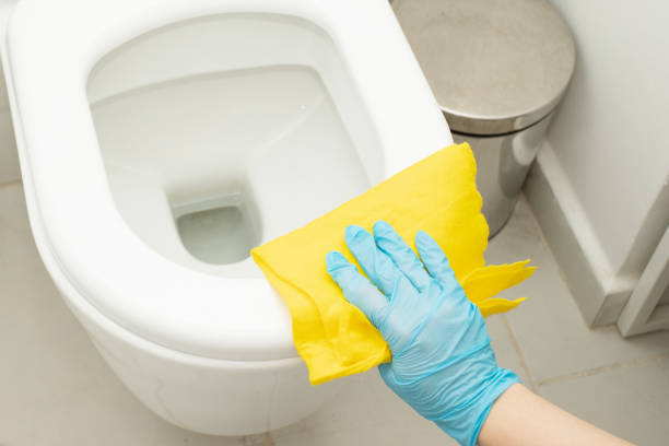 cleaning the toilet, a hand with a rag washes the toilet stock photo