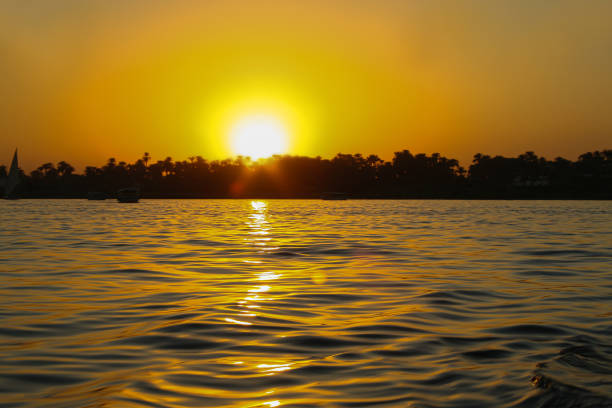 sunset on the Nile river. The setting sun made the water gold
