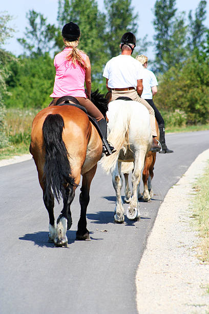 istock Horseback Riding in a Queue on the Street 144293545