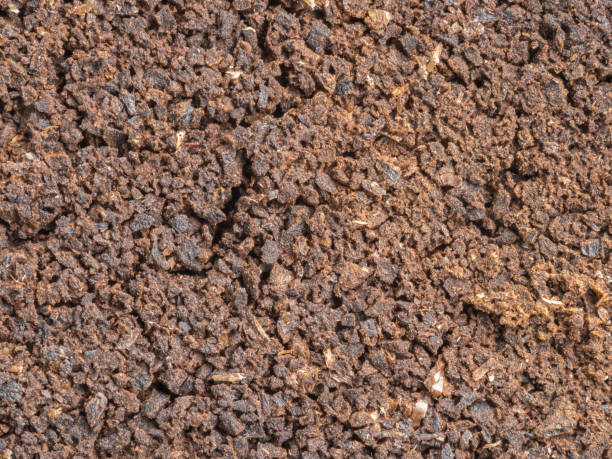 istock Ground coffee powder isolated on white background.Used coffee grounds after espresso machine and coffee beans on white  background.Caffeine addiction concept. Top  view. roasted coffee cut out. Close-up cracked ground coffee. 1442936470