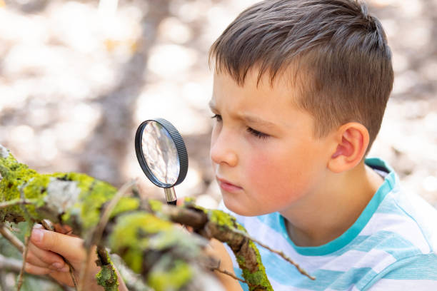 istock Curious boy is exploring nature with magnifying glass outdoors 1442937778