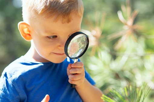 Curious boy is exploring nature with magnifying glass outdoors.