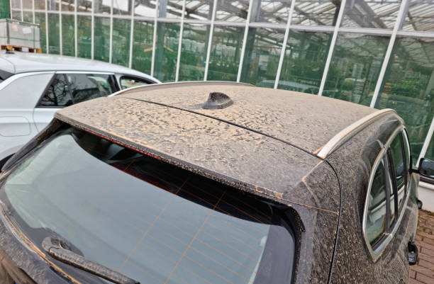 Car body covered with dust from the Sahara Stuttgart, Germany, March 17, 2022: Car body covered with dust from the Sahara. Orange-brown atmosphere due to the surrounding Saharan dust. The Sahara dust on the leaves of the plants acts as a natural fertilizer. desert wash stock pictures, royalty-free photos & images