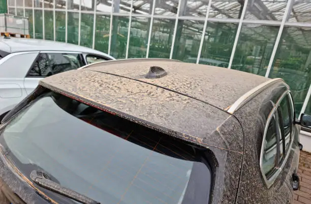 Stuttgart, Germany, March 17, 2022: Car body covered with dust from the Sahara. Orange-brown atmosphere due to the surrounding Saharan dust. The Sahara dust on the leaves of the plants acts as a natural fertilizer.
