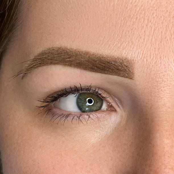 istock womans beautiful brow close up, natural make up and tattoo permanent 1442941733