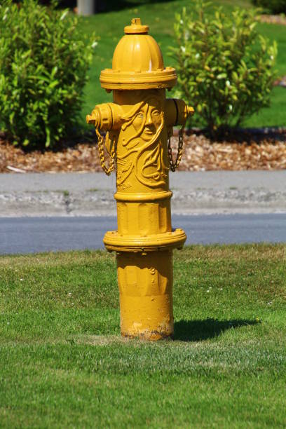 istock Fire extinguishers in the small town of Sitka, Alaska 1442946209