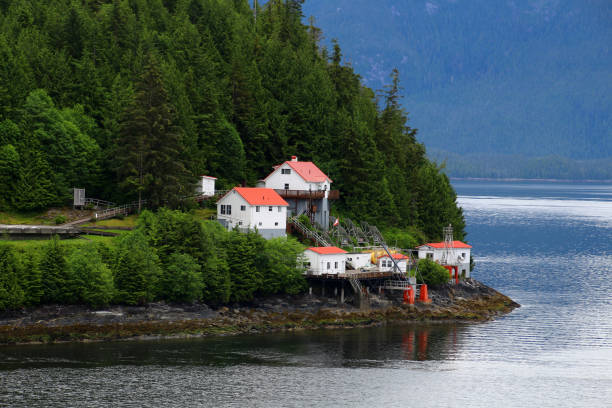 istock Boat Bluff Lighthouse, British Columbia, Canada 1442946248
