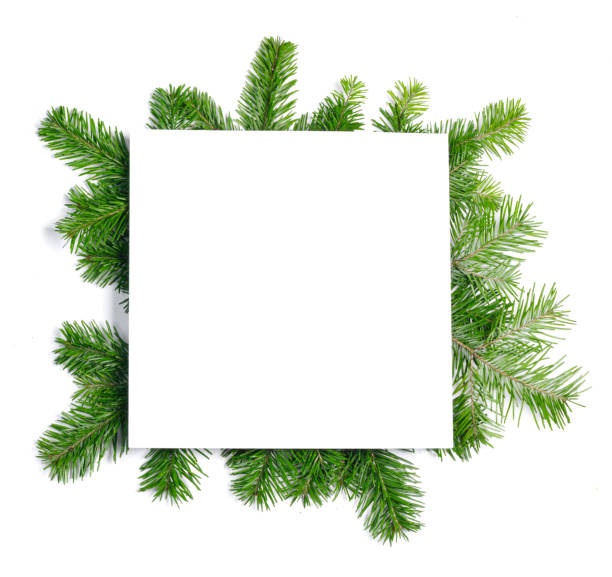 istock Christmas border of fir branches 1442947294