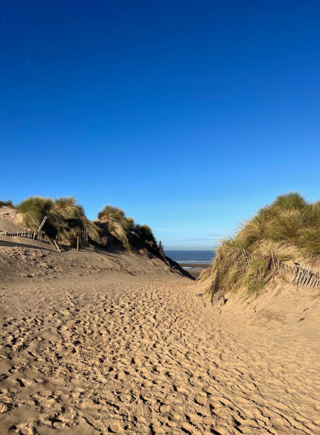 istock Formby Beach Merseyside and Sand Dunes 1442947507