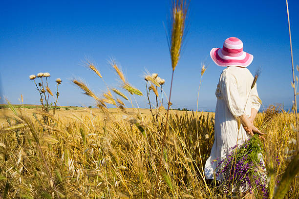 woman standing by the wheat field stock photo