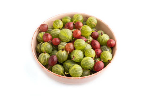 istock Fresh red and green gooseberry in ceramic bowl isolated on white, side view. 1442947917