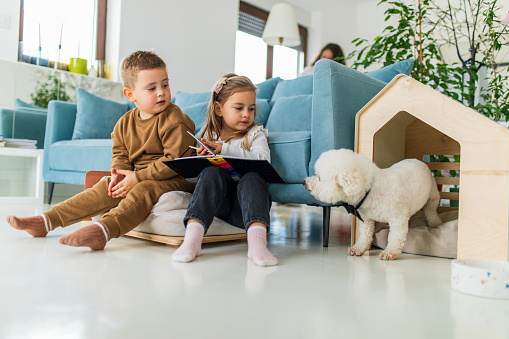 Boy and girl sitting on pillow on the floor, drawing something in her notebook. Little dog sitting in dog house just next to them