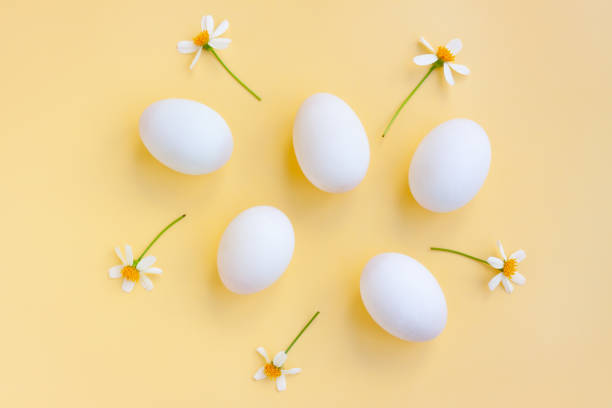 trứng trắng có hoa màu trắng nở trên nền vàng, trứng vịt. - trứng gà trứng vịt hình ảnh sẵn có, bức ảnh & hình ảnh trả phí bản quyền một lần
