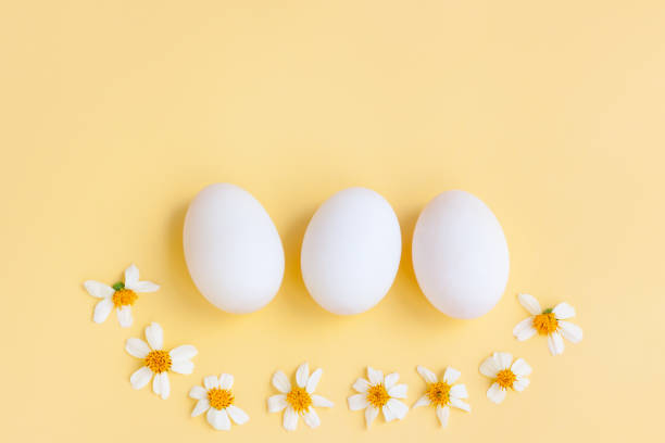 istock White eggs with White flowers blooming on yellow background, Duck eggs. 1442952890