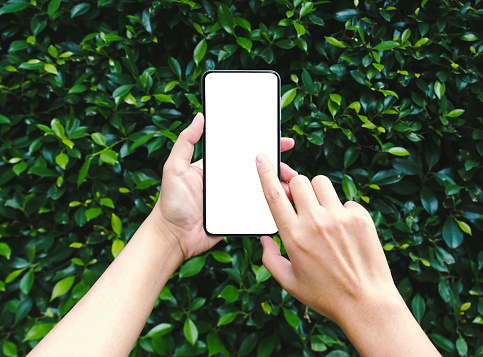 Woman using smartphone with blank screen for mockup on natural green leaf background.