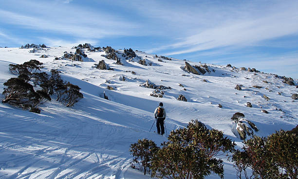 off piste 스키타기 스노위 마운틴, 호주 - kosciuszko national park 뉴스 사진 이미지