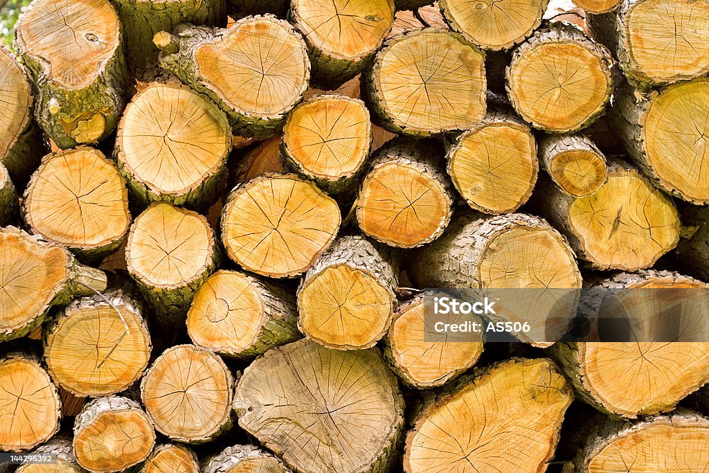 Entwaldung - Lizenzfrei Abholzung Stock-Foto