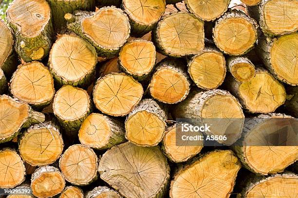 Entwaldung Stockfoto und mehr Bilder von Abholzung - Abholzung, Bauholz, Baum