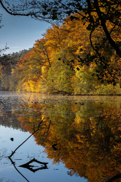 istock Colorful autumn at lake 1442954479