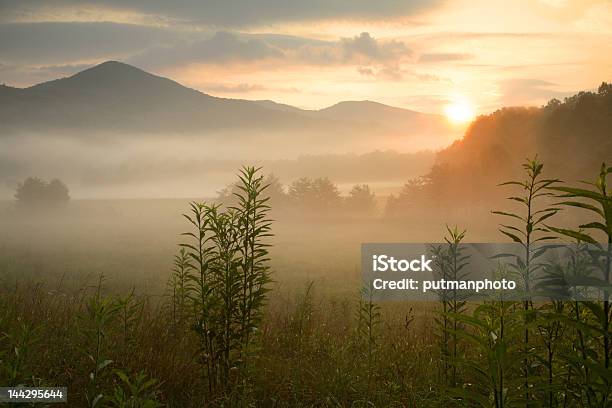 Мирное Sunrise — стоковые фотографии и другие картинки Большие Дымные горы - Большие Дымные горы, Национальный парк Грейт Смоки Маунтинс, Восход солнца