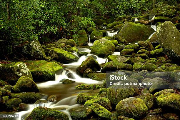 Mossy Corriente Foto de stock y más banco de imágenes de Aire libre - Aire libre, Appalachia, Bosque