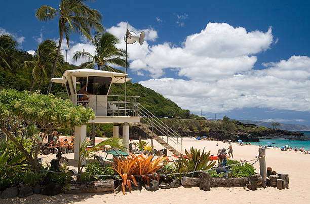 istock Waimea Beach Lifeguard Tower 144295988