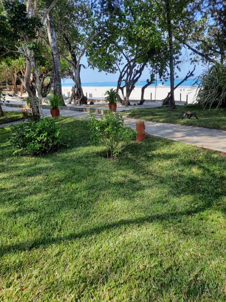 istock South beach, Kenya 1442960505