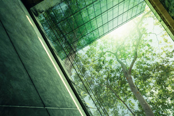 Sustainble green building. Eco-friendly building in modern city. Sustainable glass office building with tree for reducing carbon dioxide. Office with green environment. Corporate building reduce CO2. stock photo
