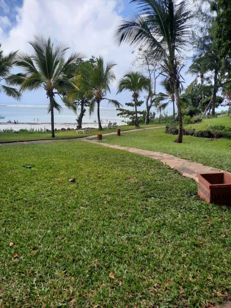 istock Beach, South coast , Kenya 1442960568