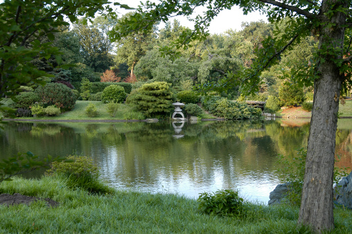 Scenic view of lake in Japanese Garden at Missouri Botanical Gardens in St. Louis.     